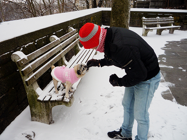 WinterPortrait9