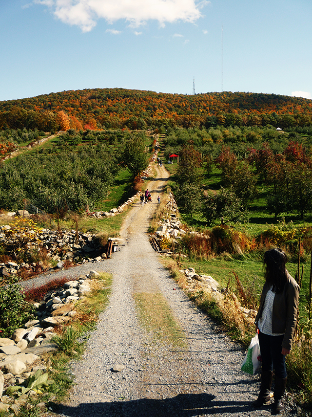 ApplePicking11