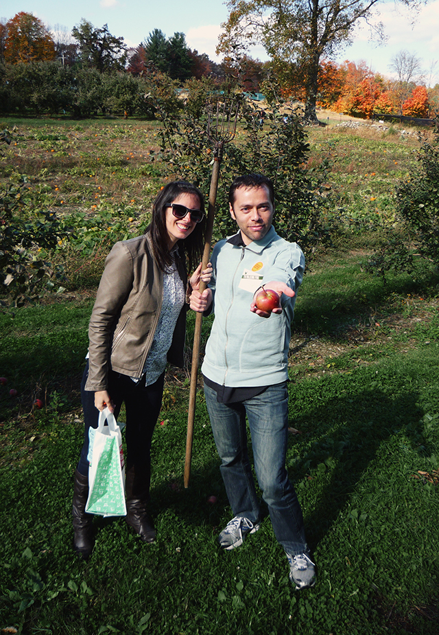 ApplePicking13