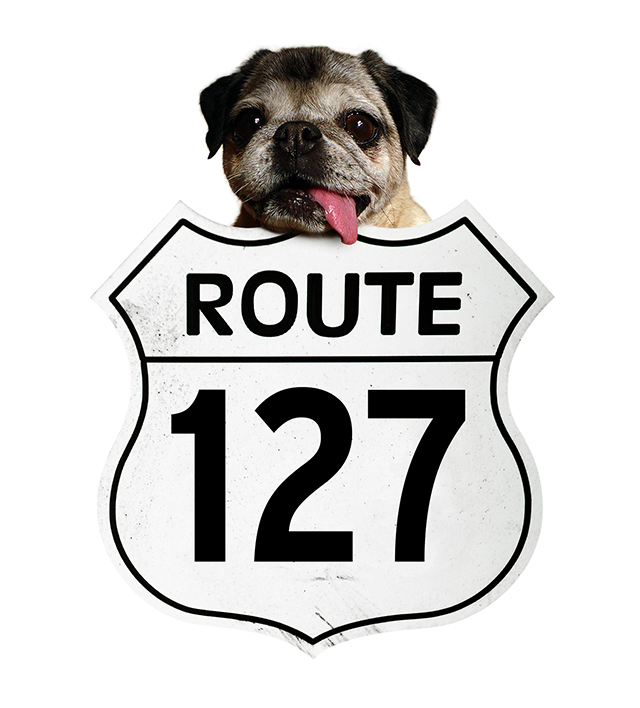 Route127YardSaleHeader