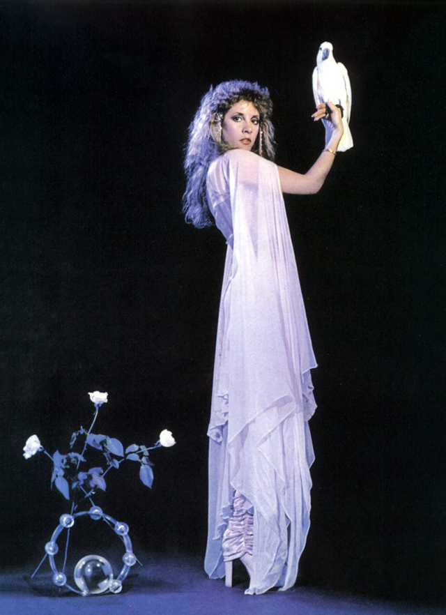 StevieNicks5