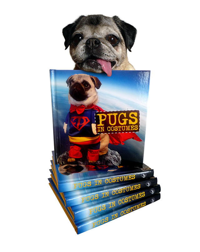 PugsinCostumes1Header